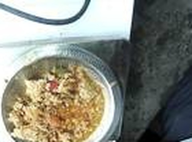 What the kiosk camera sees: a served meal plate on the weighing scale